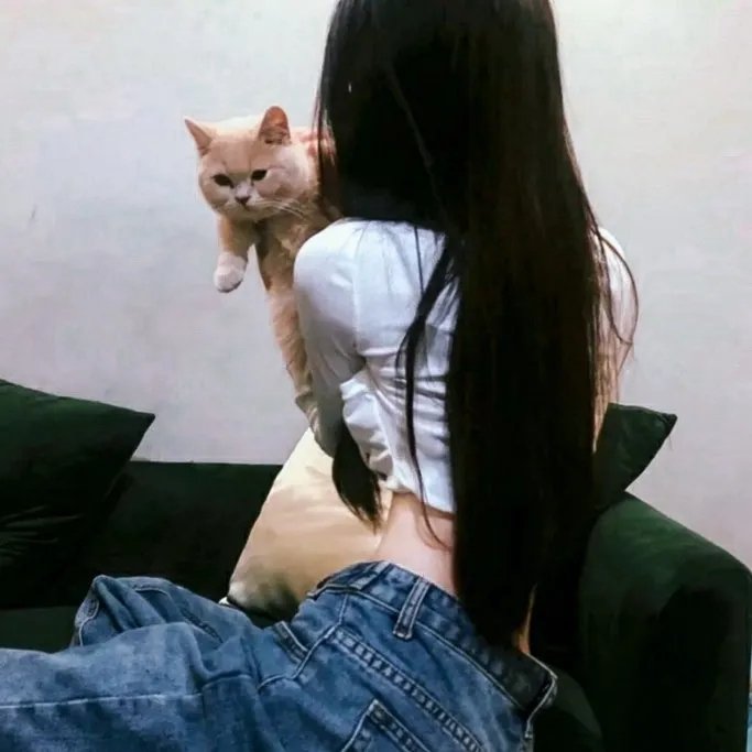 金太狼的幸福生活